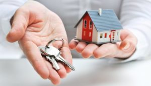 Guide to Irish Property Law